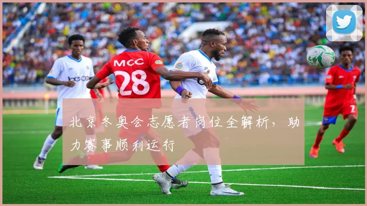 北京冬奥会志愿者岗位全解析，助力赛事顺利运行